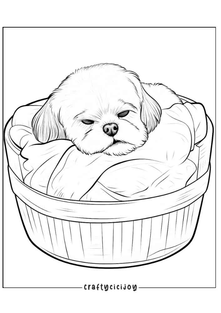 30 Free Shih Tzu Coloring Pages Printable PDF Crafty Cici Joy