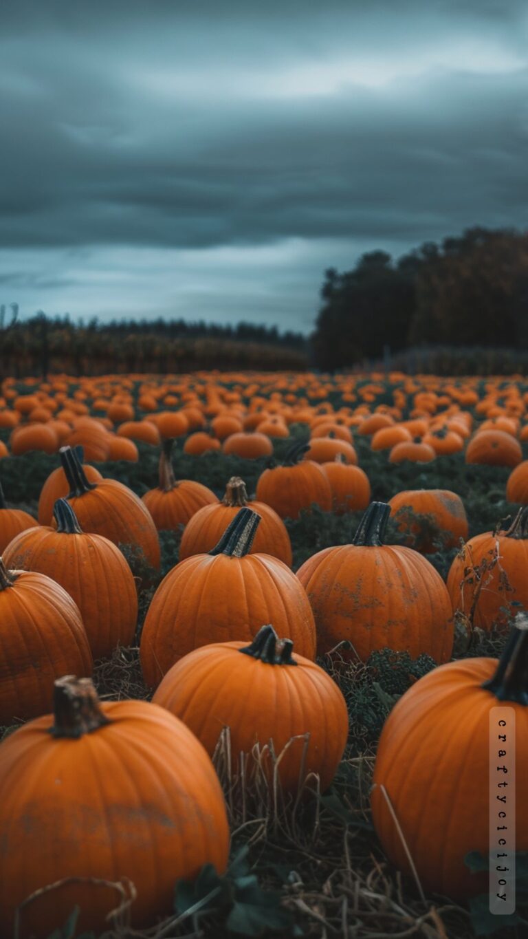 Aesthetic Pumpkin Background: 30+ Free Wallpapers