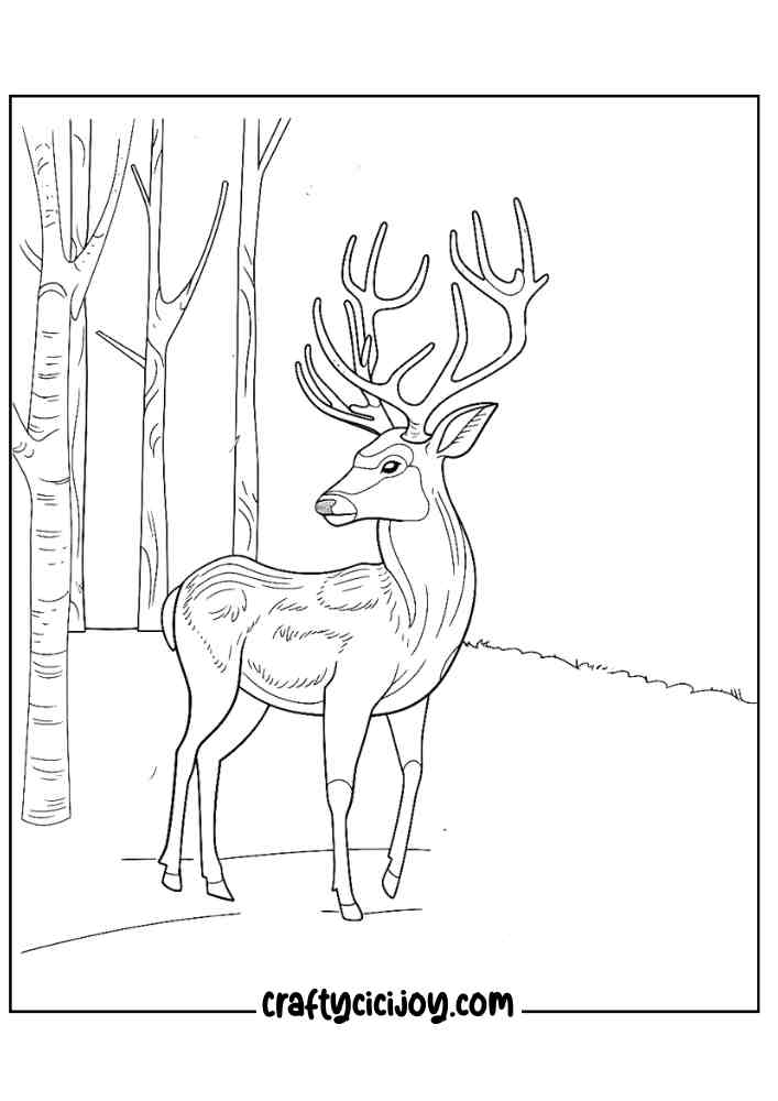 Fall Coloring Pages For Adults 19