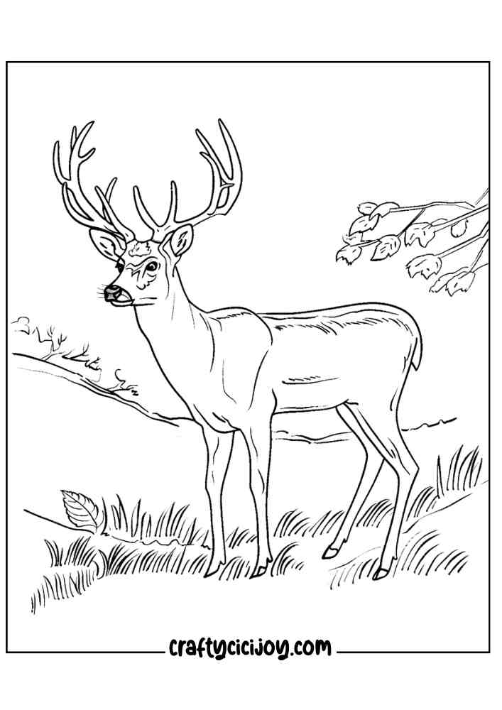 Fall Coloring Pages For Adults 66
