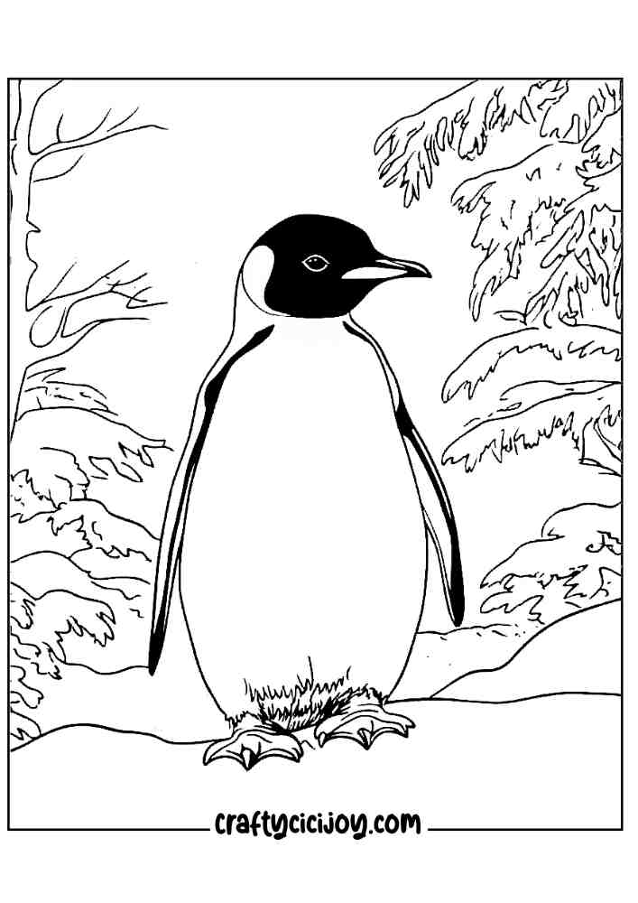 penguin coloring pages