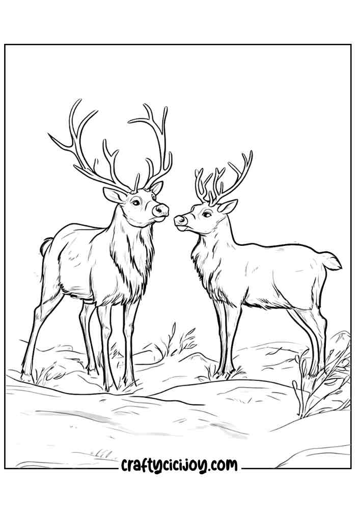 Reindeer Christmas Coloring Page 10