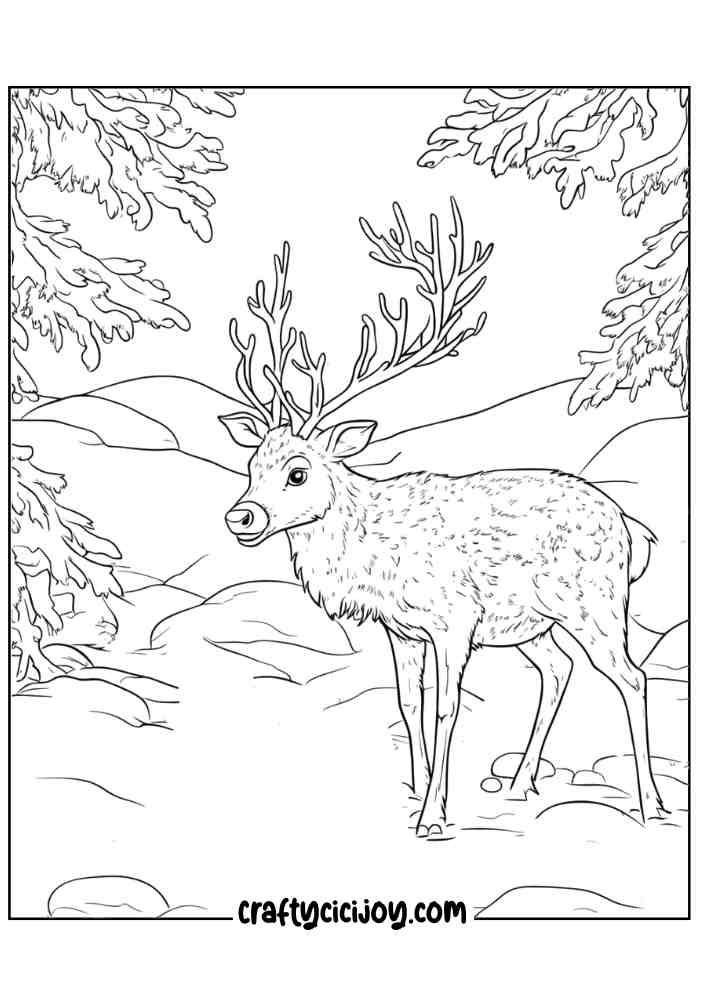 Reindeer Christmas Coloring Page 8