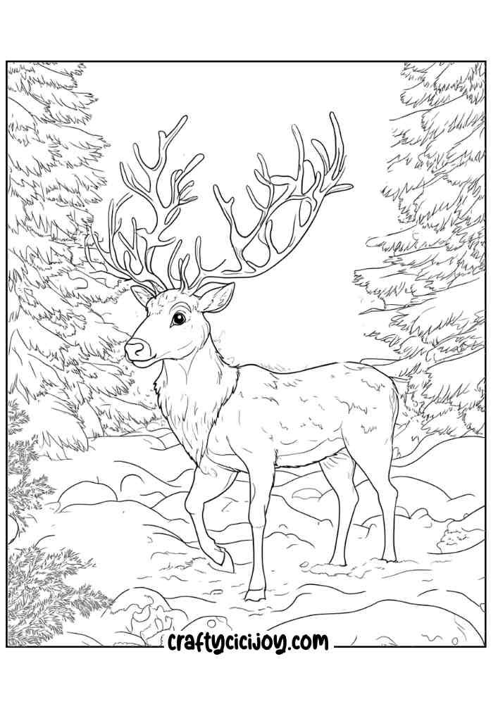 Reindeer Christmas Coloring Page 9