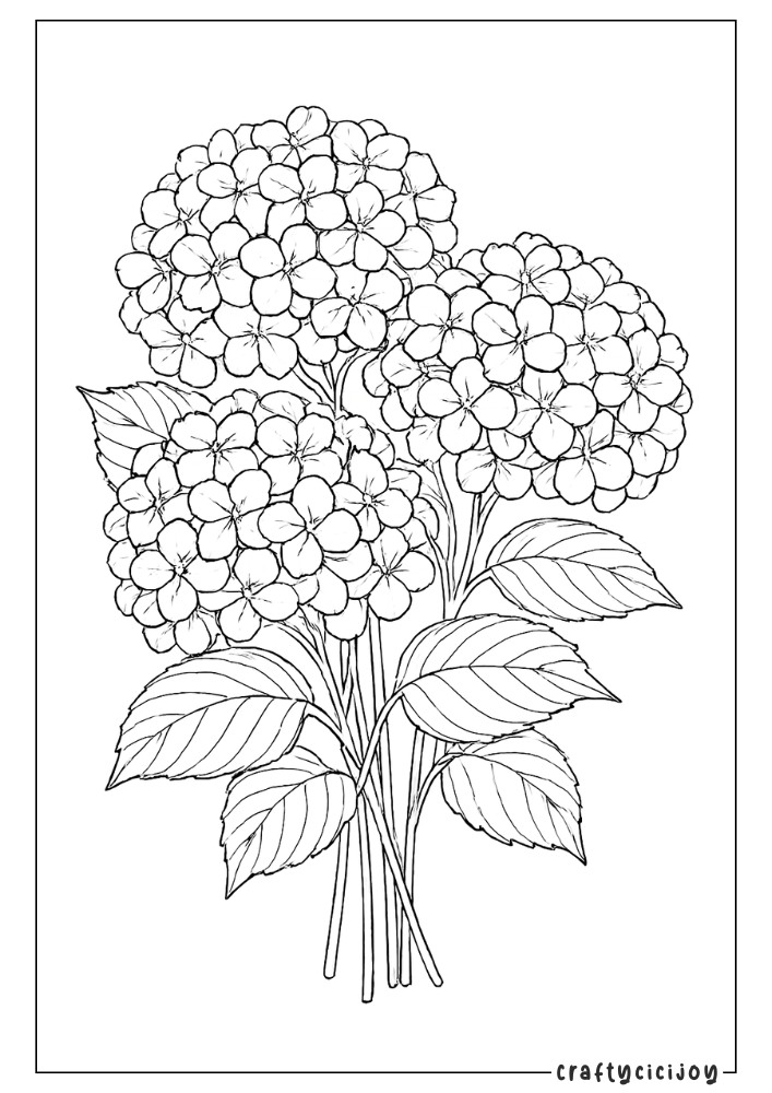 Flower Coloring Sheets (50 Free PDF Printables) 46 45