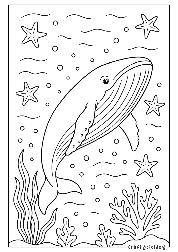 adult whale coloring sheets