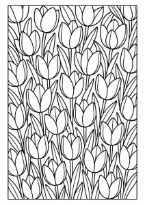 Tulip Coloring Pages (15 Free Printable PDFs)